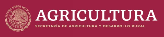 Logo Secretaria de Agricultura